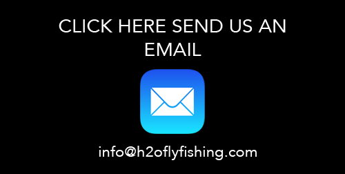 send us an email